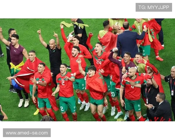 FC首尔迎战全南天龙争夺胜利两队实力对决引发球迷热议